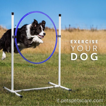 Migliore cani sportivi 3 PC Dog Agility Equipment